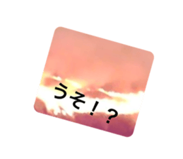 697593620