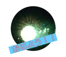 697593621