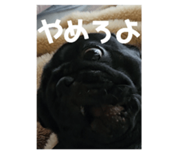 697598242