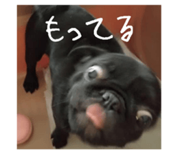 697598266
