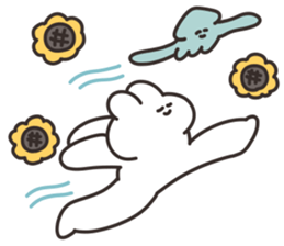 697603888