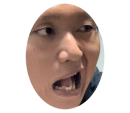 697623788
