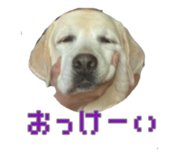 697624962