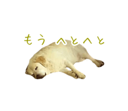 697624987