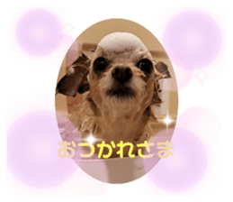 697626439