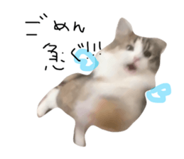 697631557