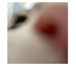 697631575