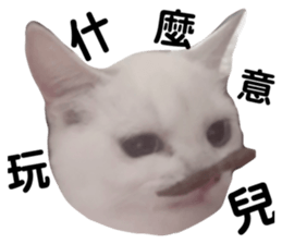 697634305