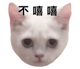 697634307