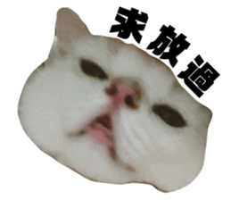 697634309