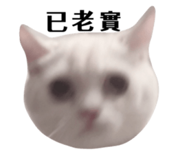 697634310