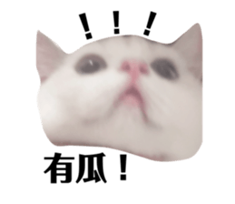 697634314