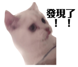 697634323