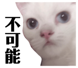 697634331
