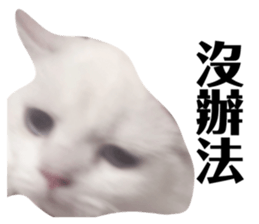 697634333