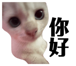 697634334