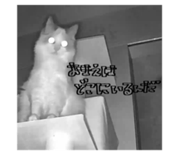 697751384