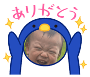 697753777