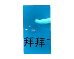 697766539