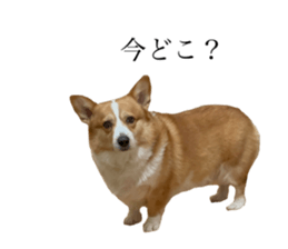 697771011