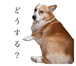 697771016