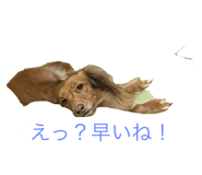 697786597