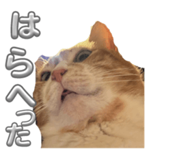 697788589