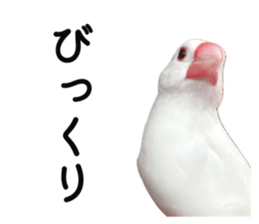 697796106