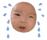 697800810