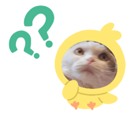 697806792