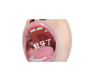 697806830