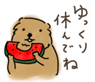697916529