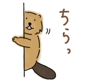 697916534