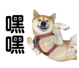 697919443