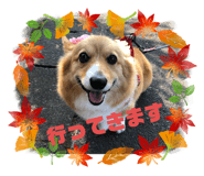 697938716