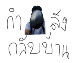 697944316