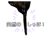 697947935