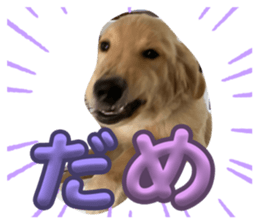 697949577
