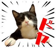 697952988