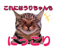 697952999