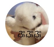 697967761