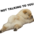 698021110