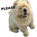 698021120