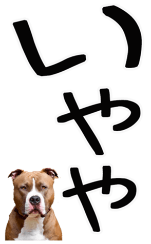 698022751