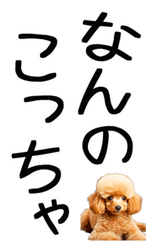 698022763