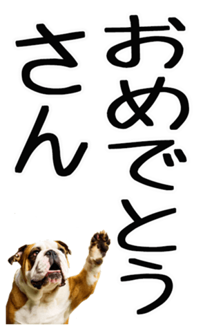 698022768