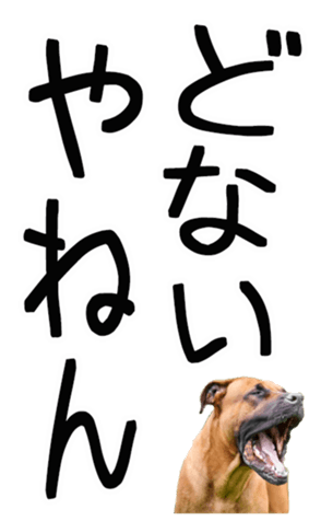 698022773
