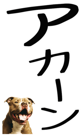 698022775
