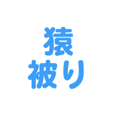 698064851