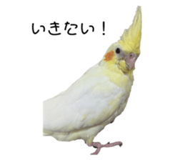 698080922